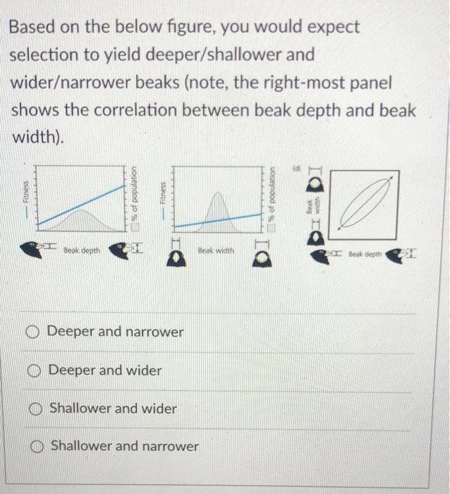 Solved Based on the below figure, you would expect selection | Chegg.com