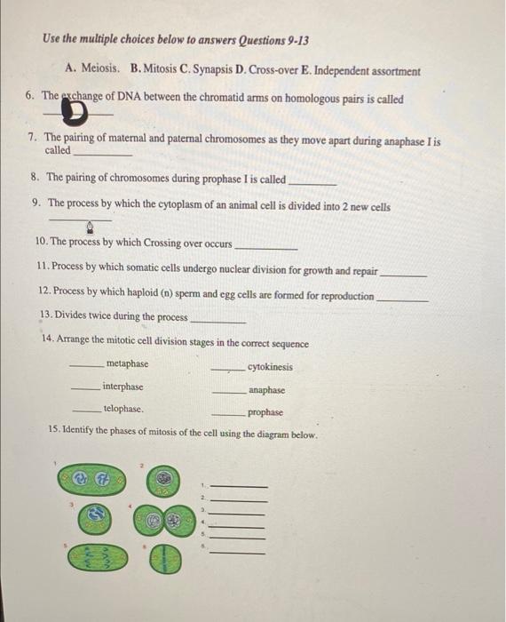 Solved Use The Multiple Choices Below To Answers Questions | Chegg.com