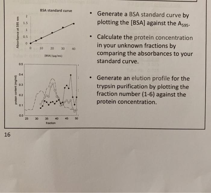 BSA standard curve 2 • Generate a BSA standard curve