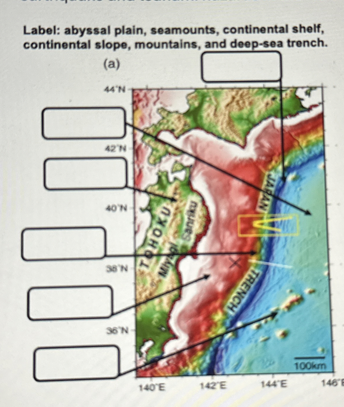 Solved Label: abyssal plain, seamounts, continental shelf, | Chegg.com