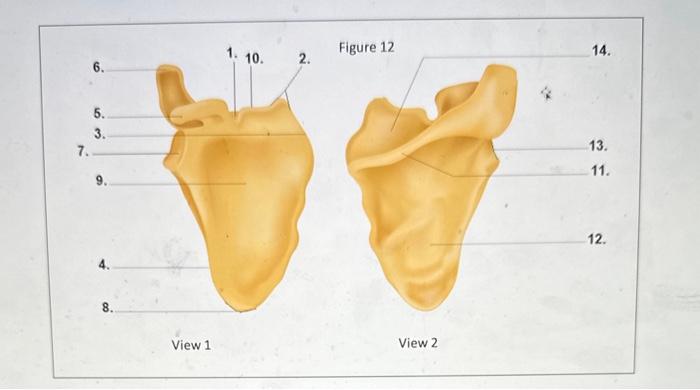 6.
1. \( 10 . \quad 2 \) Figure 12
14.
5.
3.
7.
9.
4.
8.
12.
View 1
View 2