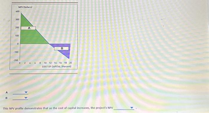 Solved An NPV profile plots ar project's NPV at various | Chegg.com