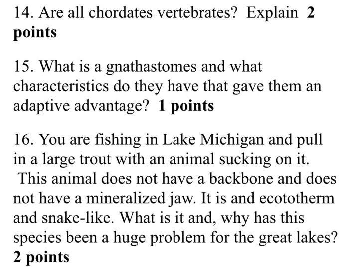 Solved 14. Are all chordates vertebrates? Explain 2 points | Chegg.com