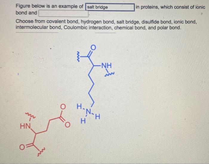 Solved Figure below is an example of salt bridge in