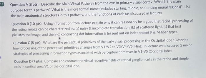 Solved Question A ( 8 pts): Describe the Main Visual Pathway | Chegg.com
