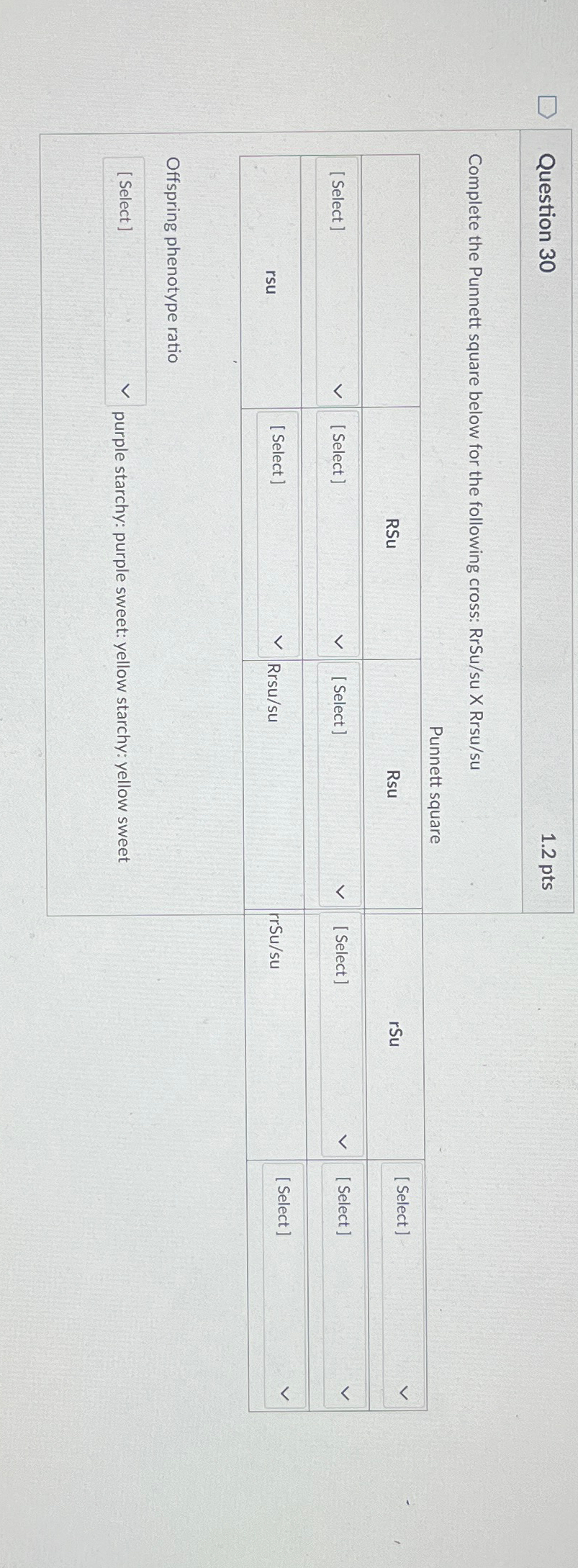 Solved Question 301.2ptsComplete the Punnett square below | Chegg.com