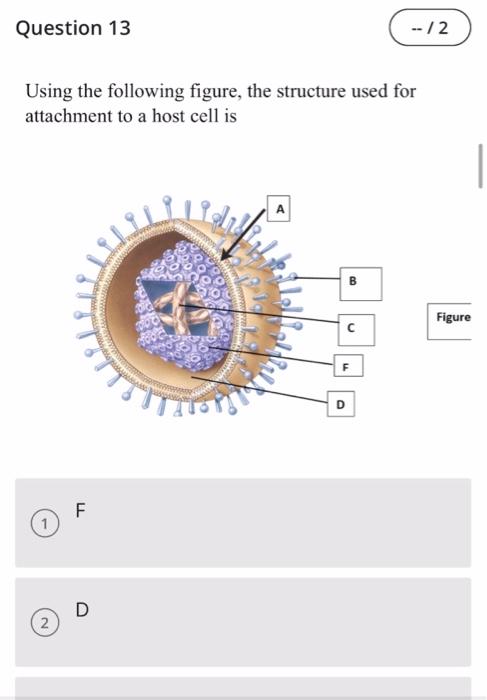 Solved Question 13 --/2 Using The Following Figure, The | Chegg.com