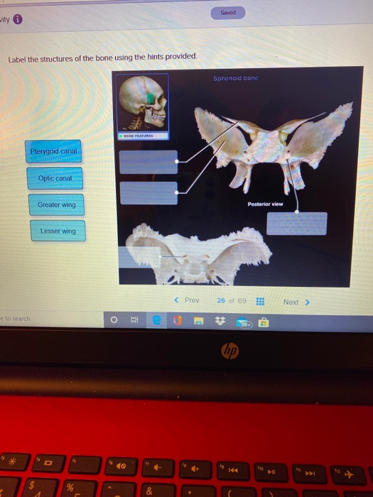 Solved Saved wity Label the structures of the bone using the | Chegg.com