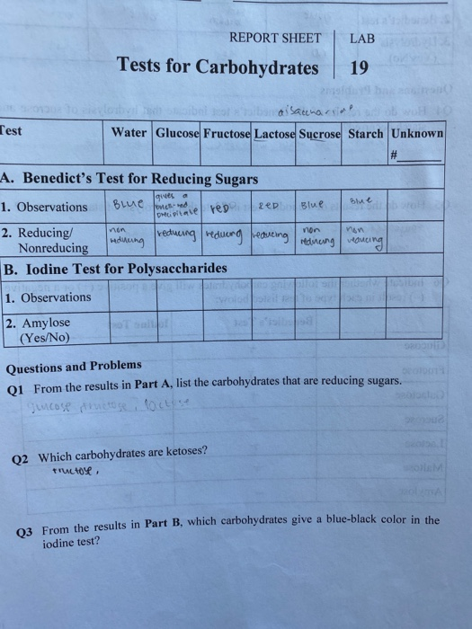 carbohydrates experiment in biochemistry lab report