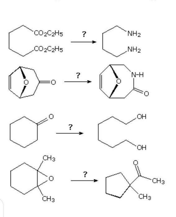 Solved *CO2C2H5 ? NH2 CO2C2H5 NH2 A. N-H 0 OH ? OH CH3 ? CH3 | Chegg.com