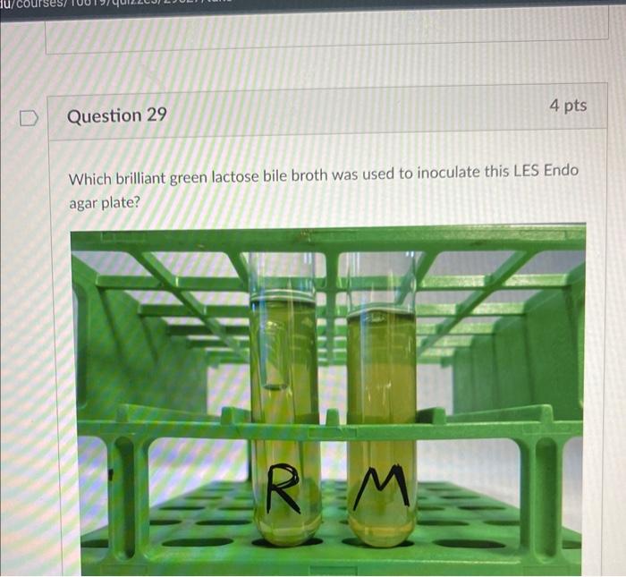 Solved Which brilliant green lactose bile broth was used to | Chegg.com