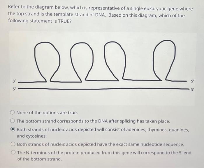 Solved Refer to the diagram below which is representative Chegg com