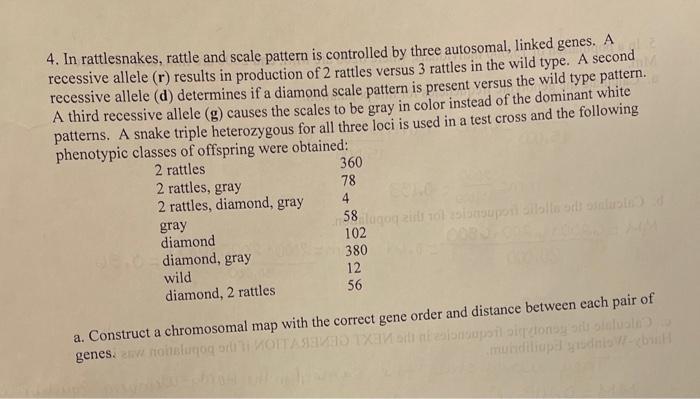 Solved 4. In rattlesnakes, rattle and scale pattern is | Chegg.com