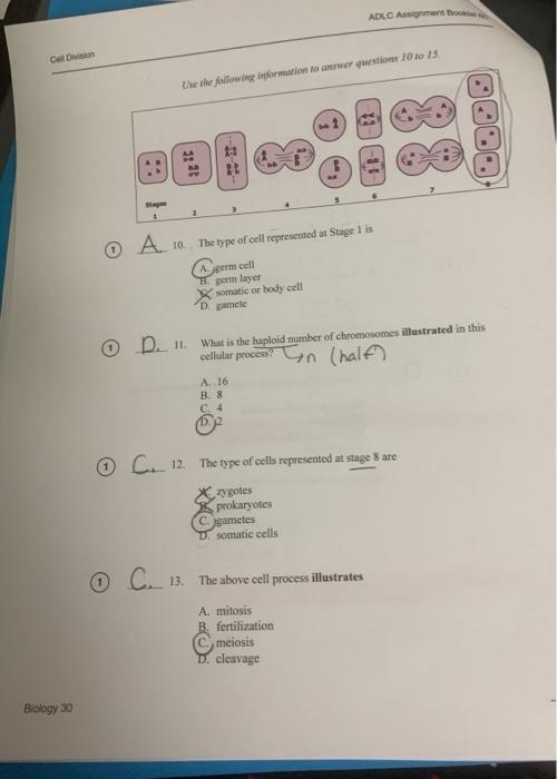 Solved I just want to know if my answers are right for these | Chegg.com