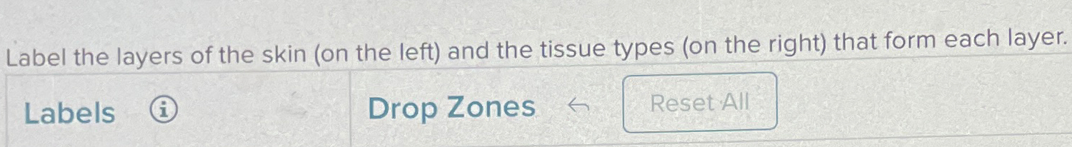 Solved Label the layers of the skin (on the left) ﻿and the | Chegg.com
