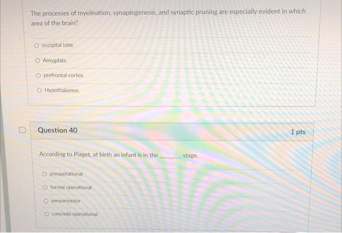 Solved The processes of myelination synaptogenesis and Chegg