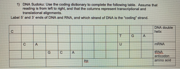 Solved 1) DNA Sudoku: Use the coding dictionary to complete | Chegg.com