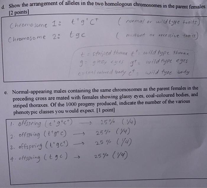 Solved this is genetics assignment and im not sure of the | Chegg.com