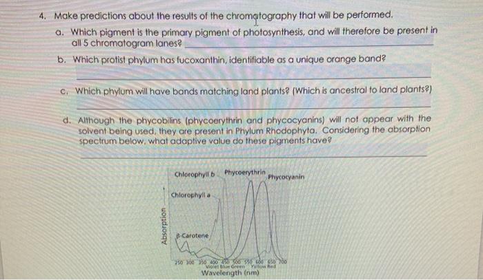 Shocking Chromatography Secret Perfect Pigment Matching Every Time - 1auy72m