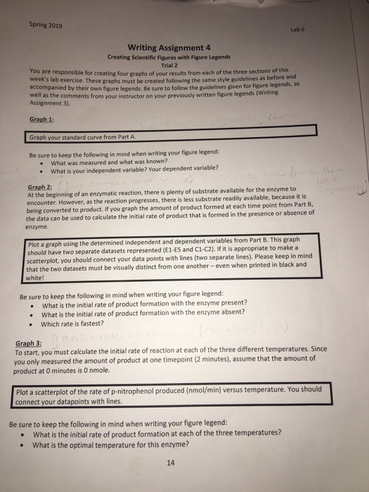 Essay in lab 4 08 image