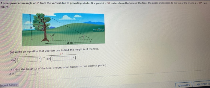Solved A tree grows at an angle of 5º from the vertical due | Chegg.com
