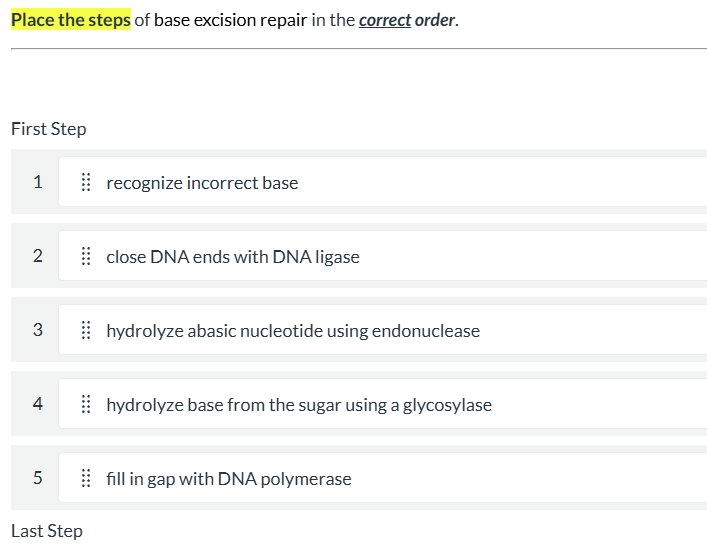 Solved Place the steps of ﻿base excision repair in ﻿the | Chegg.com
