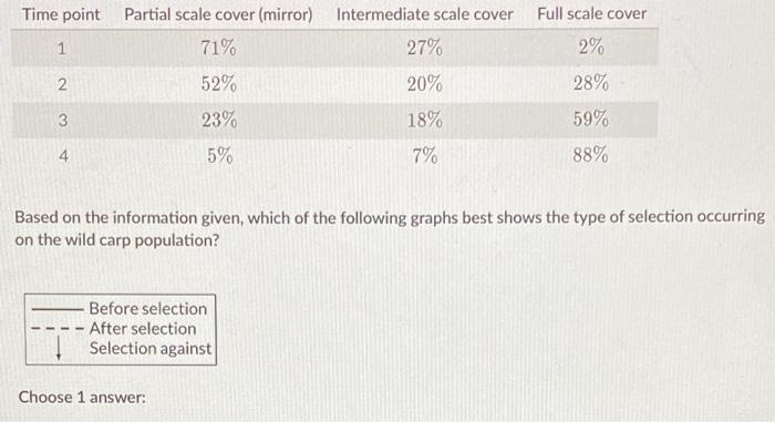 Solved Time point Partial scale cover (mirror) Intermediate | Chegg.com