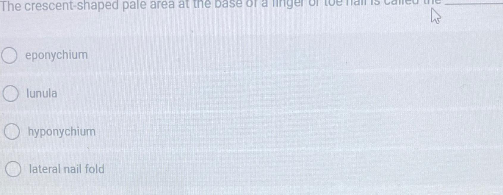 Solved eponychiumlunulahyponychiumlateral nail fold | Chegg.com