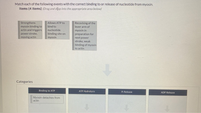 Solved Match each of the following events with the correct | Chegg.com