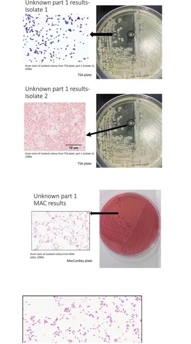 Solved Unknown Sample Number For this virtual Unknown Lab | Chegg.com