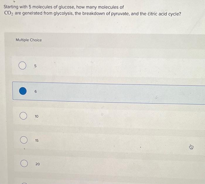 Solved What is a key difference between anaerobic | Chegg.com