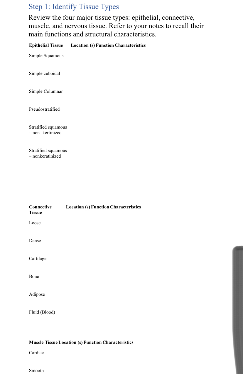 Step 1 Identify Tissue TypesReview the four major