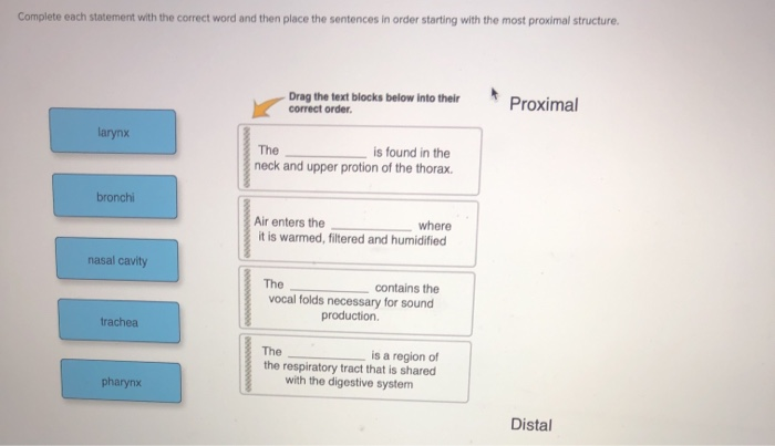 Solved Complete Each Statement With The Correct Word And Chegg