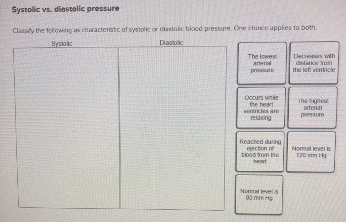 Systolic vs. Diastolic Blood Pressure