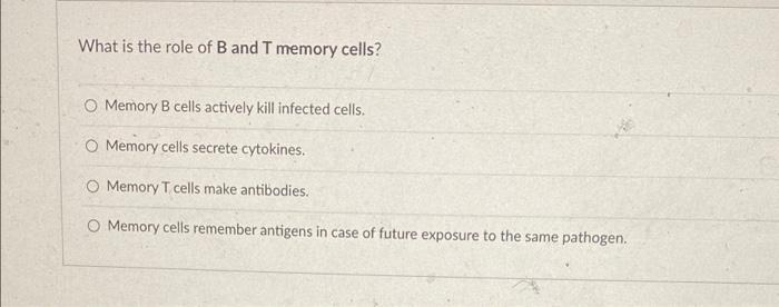 b and t cells memory