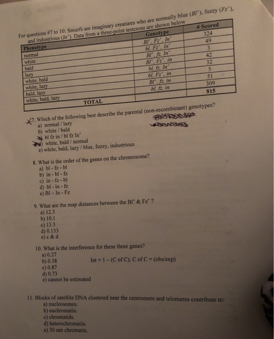 Solved White For Questions 7 To 10 Smurfs Are Imaginary Chegg Com