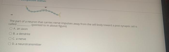 Status: The part of a neuron that carries nerve impulses away from the cell body toward a postsynaptic cellis called (pointed