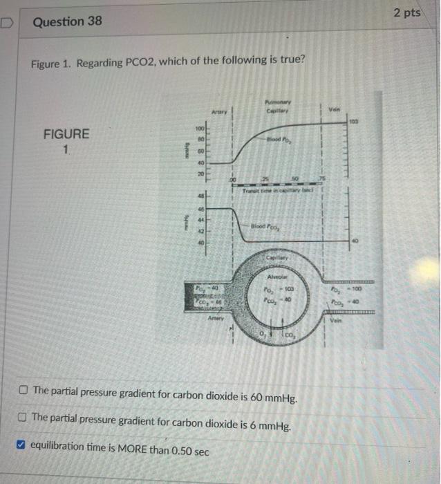 Solved D Question 31 2 pts Which of the following represents | Chegg.com