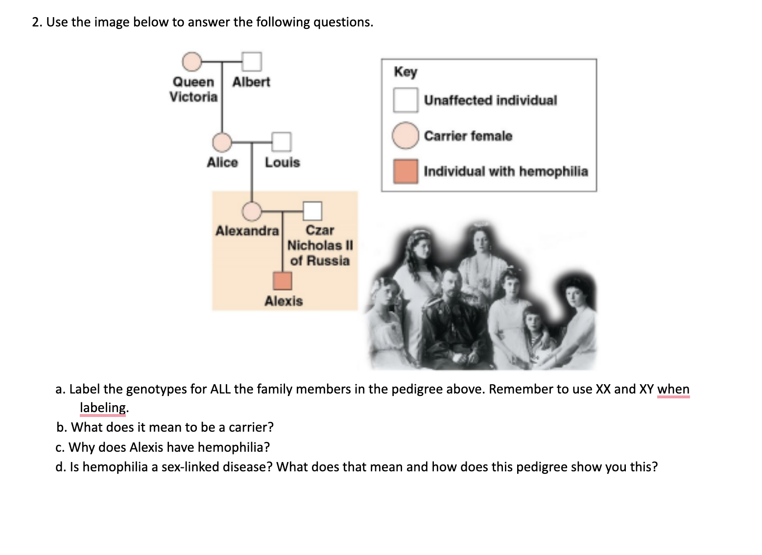 Solved Use the image below to answer the following | Chegg.com