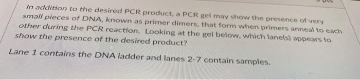 Solved In addition to the desired PCR product, a PCR gel may | Chegg.com