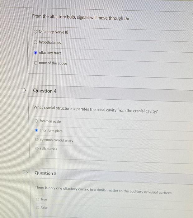 From the olfactory bulb, signals will move through the Olfactory Nerve (I) hypothalamus olfactory tract none of the above Que