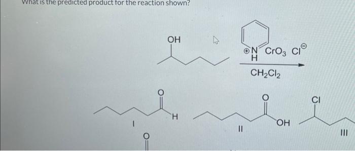 Solved What is the predicted product for the reaction | Chegg.com