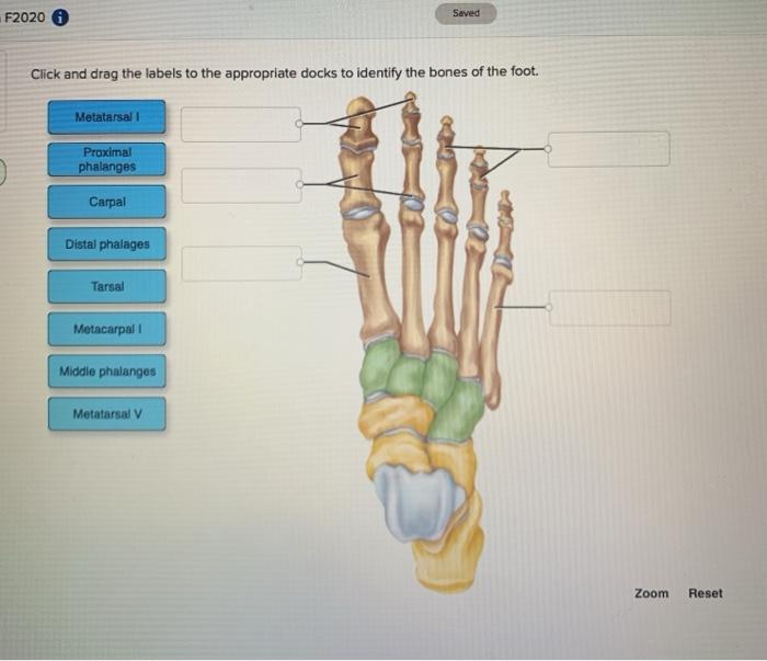Solved F2020 Seved Click and drag the labels to the