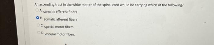 Solved An ascending tract in the white matter of the spinal | Chegg.com