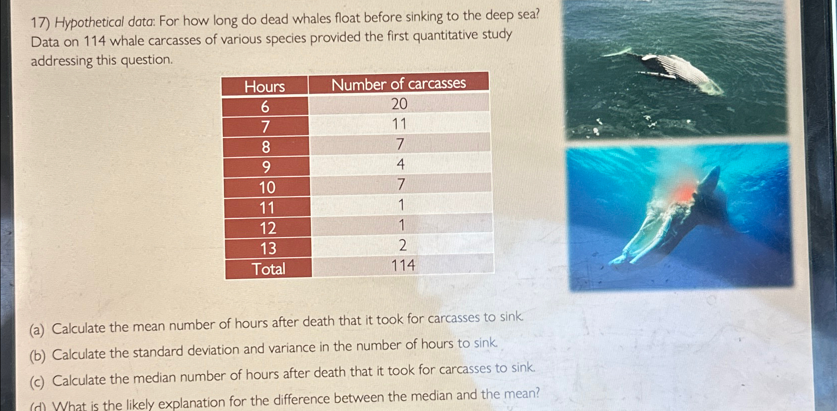 Solved Hypothetical data For how long do dead whales float