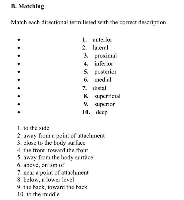 solved-b-matching-match-each-directional-term-listed-with-chegg