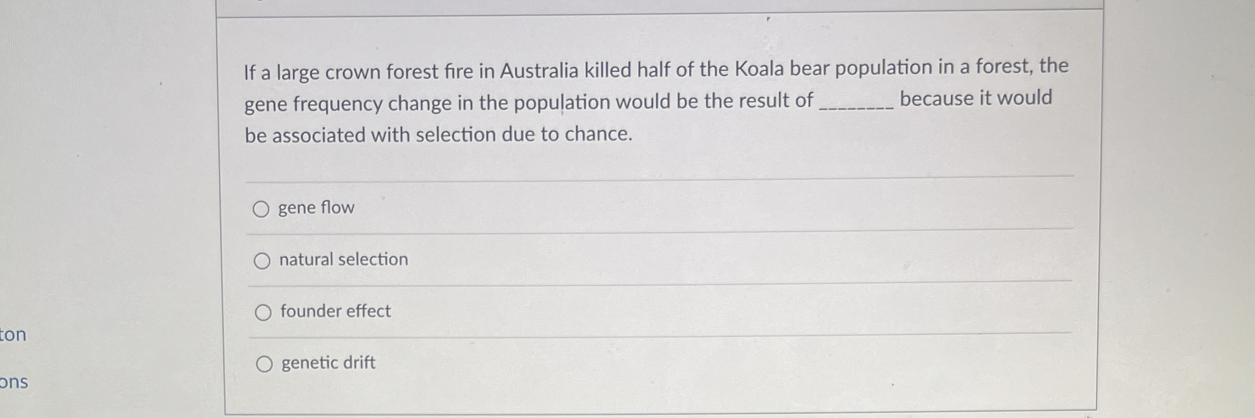 Koala Bear Population