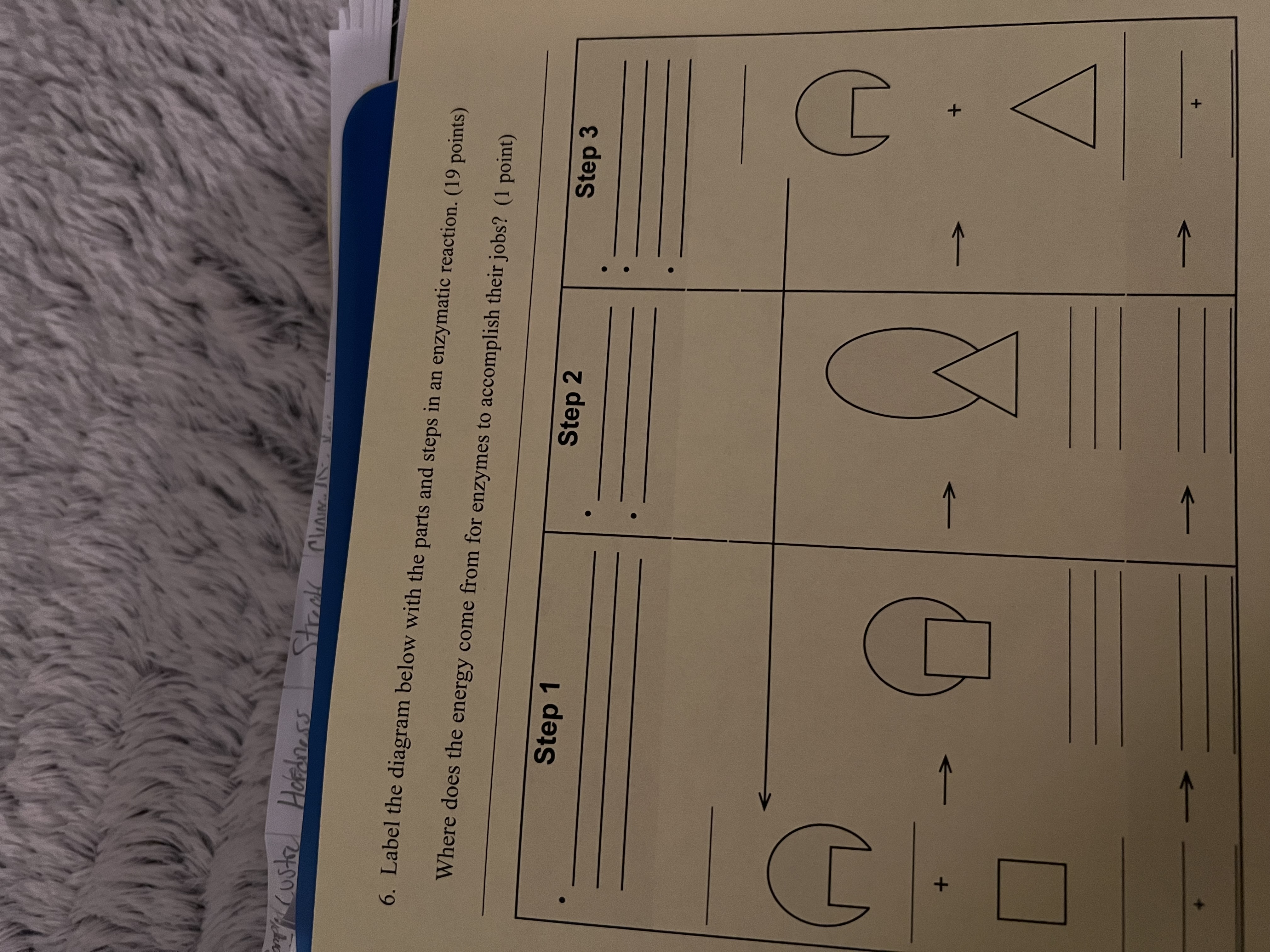 Solved Label the diagram below with the parts and steps in | Chegg.com