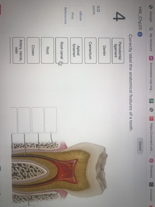 Solved . Google G My Account P