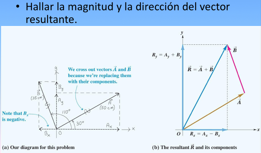 Solved Hallar la magnitud y la dirección del vector | Chegg.com